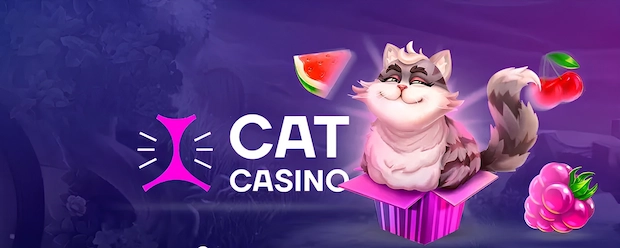 Как зарегистрироваться в Cat Casino
