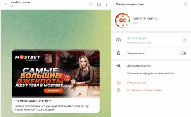 Как создать казино бота в телеграм?